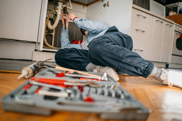 Best Toilet Repair Services  in Winchester, NV